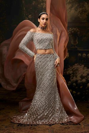 zehave champagne net fishtail sequin lehenga set